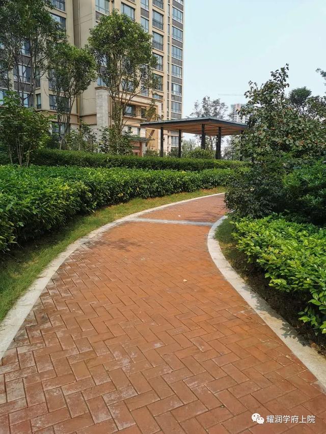 禹州耀润学府上院:深耕禹州十六年感谢有您! 禹州耀润学府上院:深耕禹州十六年感谢有您!