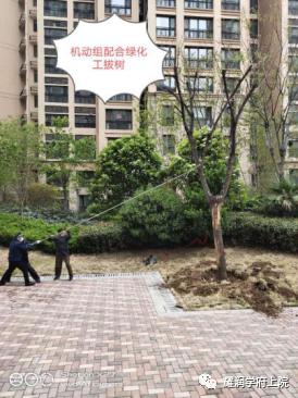 禹州耀润学府上院:深耕禹州十六年感谢有您! 禹州耀润学府上院:深耕禹州十六年感谢有您!