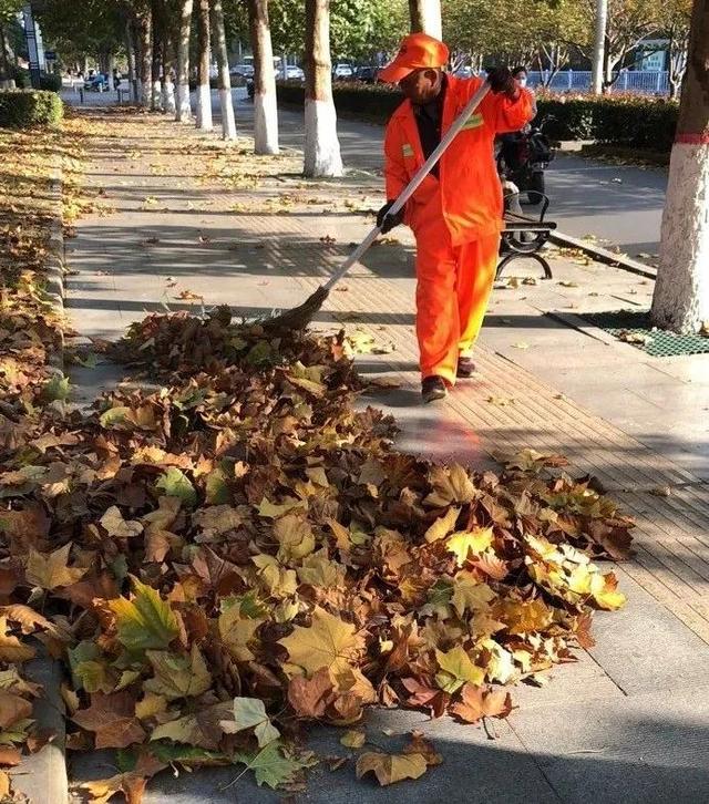 禹州环卫:精细管理提质量 多措并举保洁净 禹州环卫:精细管理提质量 多措并举保洁净
