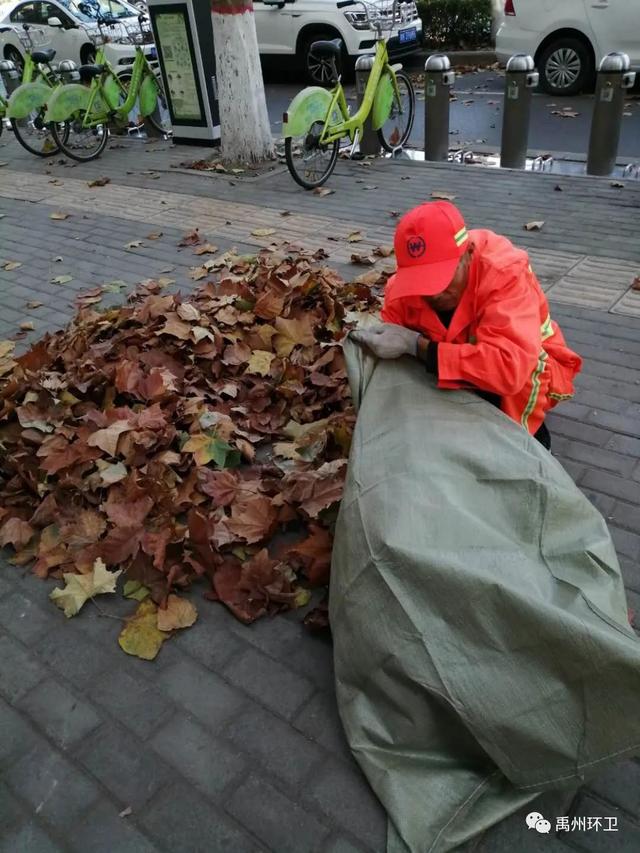禹州环卫:精细管理提质量 多措并举保洁净 禹州环卫:精细管理提质量 多措并举保洁净