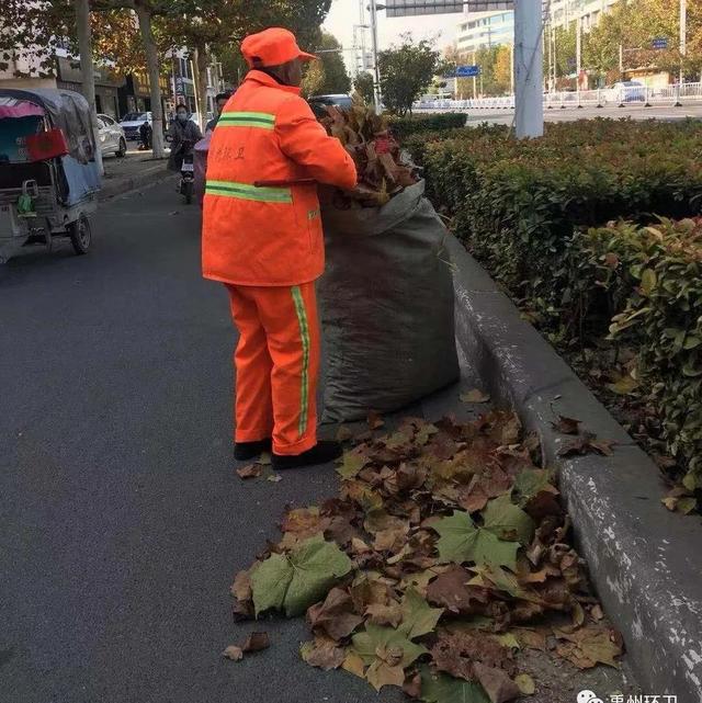 禹州环卫:精细管理提质量 多措并举保洁净 禹州环卫:精细管理提质量 多措并举保洁净