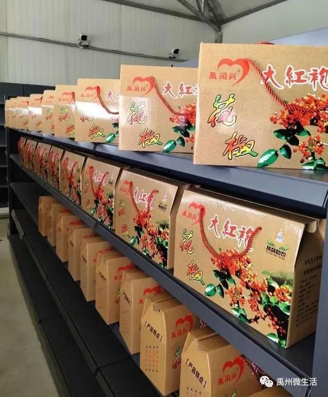 禹州鸠山:闵庄,菊花铺就致富路 禹州鸠山:闵庄,菊花铺就致富路