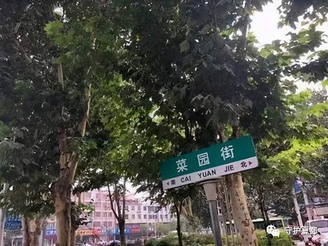 禹州钧台中心派出所在菜园街抓获两名涉嫌招嫖女子 禹州钧台中心派出所在菜园街抓获两名涉嫌招嫖女子