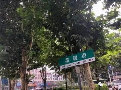 禹州钧台中心派出所在菜园街抓获两名涉嫌招嫖女子