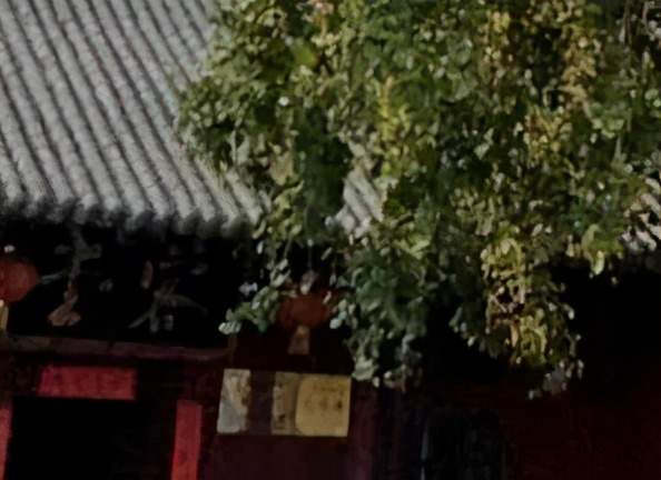 许昌有五位“老寿星”,禹州占俩,最高年龄1500岁! 许昌有五位“老寿星”,禹州占俩,最高年龄1500岁!