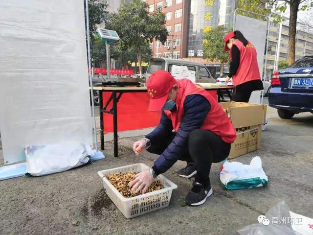 禹州环卫:真抓实干提质量 城市清洁促提升 禹州环卫:真抓实干提质量 城市清洁促提升