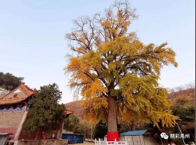 跨越千年历史!禹州这些元素与钧瓷有关 跨越千年历史!禹州这些元素与钧瓷有关