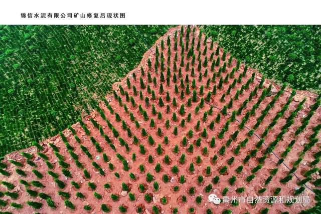 禹州市露天矿山着“绿装” 禹州市露天矿山着“绿装”
