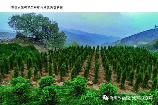 禹州市露天矿山着“绿装” 禹州市露天矿山着“绿装”
