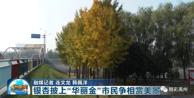 禹州这抹“华丽金”,你get到了吗? 禹州这抹“华丽金”,你get到了吗?