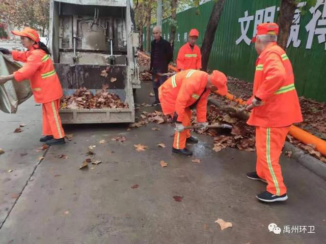 禹州环卫:无情落叶惹人烦 雨后清洁暖人心 禹州环卫:无情落叶惹人烦 雨后清洁暖人心