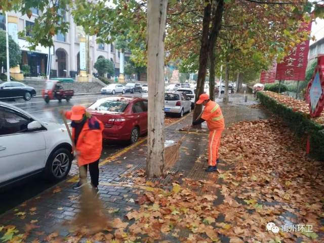 禹州环卫:无情落叶惹人烦 雨后清洁暖人心 禹州环卫:无情落叶惹人烦 雨后清洁暖人心