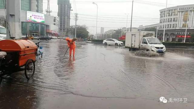 禹州环卫:无情落叶惹人烦 雨后清洁暖人心 禹州环卫:无情落叶惹人烦 雨后清洁暖人心