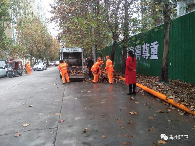 禹州环卫:无情落叶惹人烦 雨后清洁暖人心 禹州环卫:无情落叶惹人烦 雨后清洁暖人心