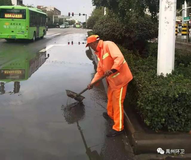 禹州环卫:无情落叶惹人烦 雨后清洁暖人心 禹州环卫:无情落叶惹人烦 雨后清洁暖人心