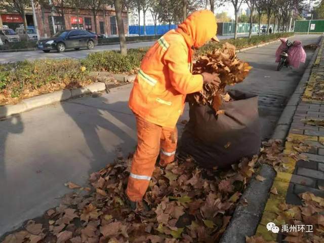 禹州环卫:周五清洁不松懈 提升质量保洁净 禹州环卫:周五清洁不松懈 提升质量保洁净