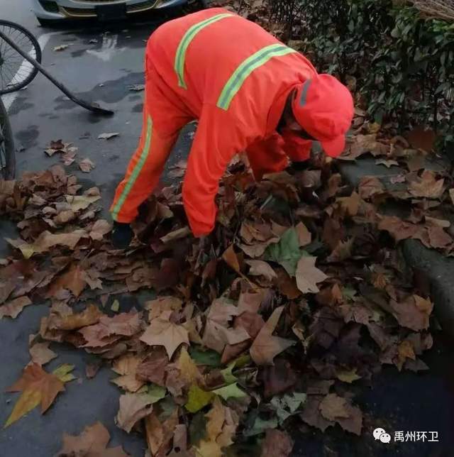 禹州环卫:周五清洁不松懈 提升质量保洁净 禹州环卫:周五清洁不松懈 提升质量保洁净