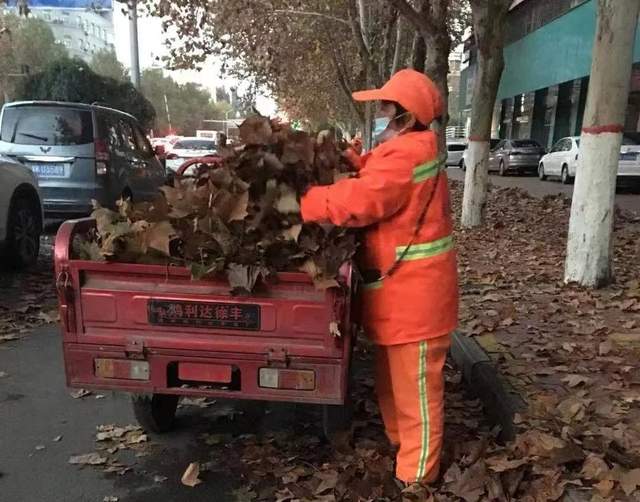 禹州环卫:周五清洁不松懈 提升质量保洁净 禹州环卫:周五清洁不松懈 提升质量保洁净