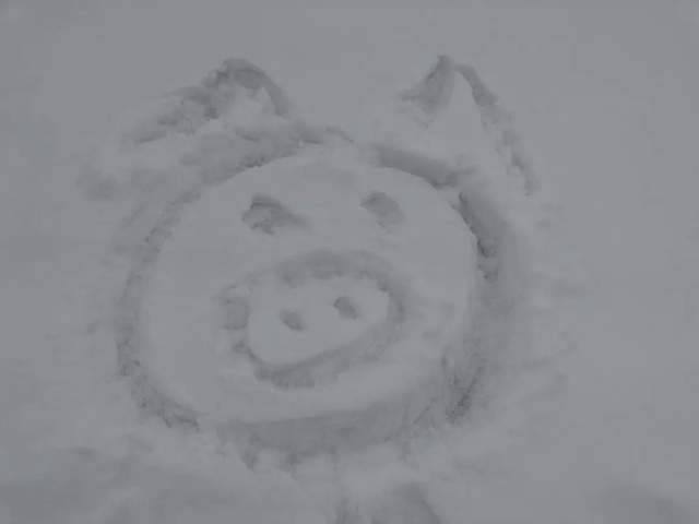 禹州即将迎来今冬第一场雪!还有大风和降温 禹州即将迎来今冬第一场雪!还有大风和降温