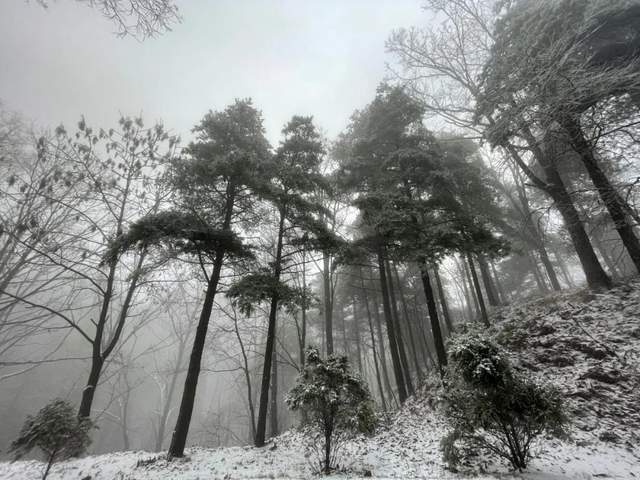 初雪美,初雪俏!禹州初雪来了你要不要! 初雪美,初雪俏!禹州初雪来了你要不要!