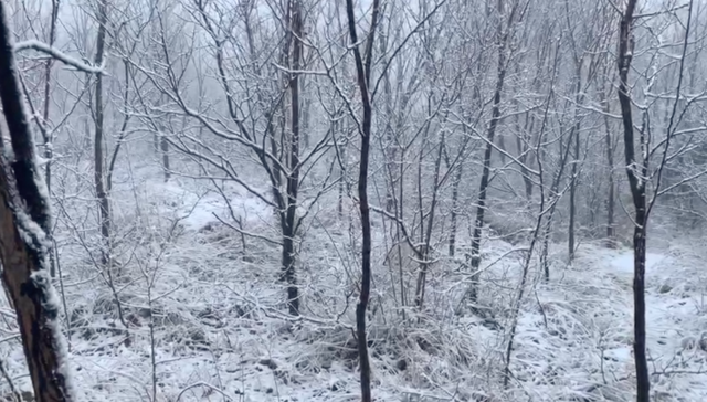 初雪美,初雪俏!禹州初雪来了你要不要! 初雪美,初雪俏!禹州初雪来了你要不要!