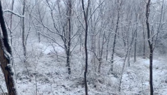 初雪美，初雪俏！禹州初雪来了你要不要！