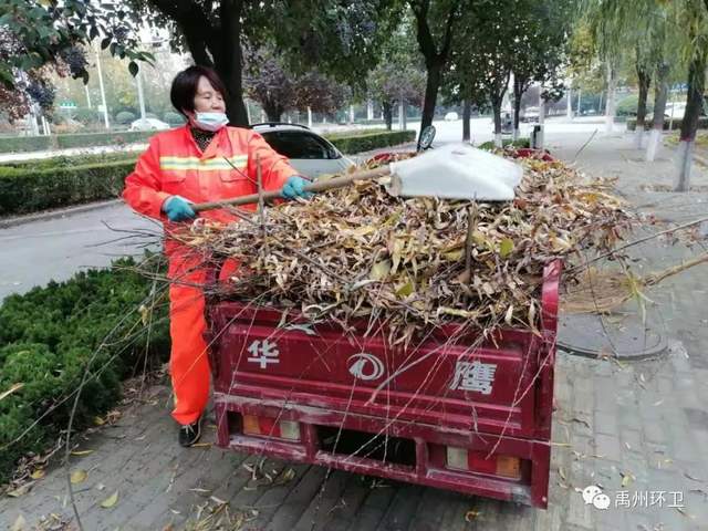 禹州环卫:战低温,不惧严寒 大清洁,热情似火 禹州环卫:战低温,不惧严寒 大清洁,热情似火