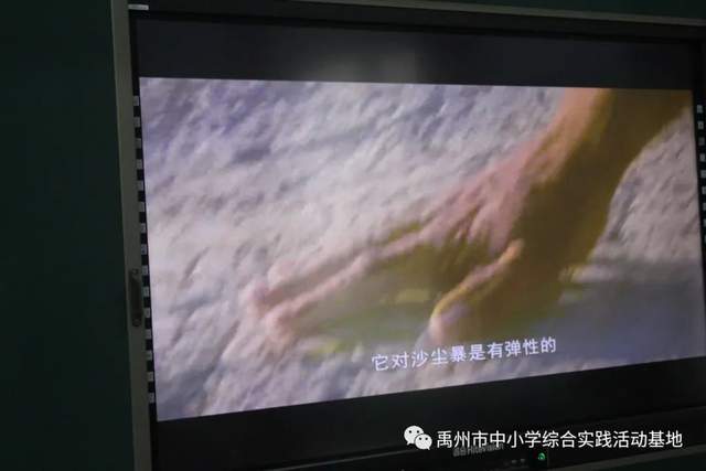 禹州市中小学综合实践教育基地第九期综合实践活动回顾 禹州市中小学综合实践教育基地第九期综合实践活动回顾