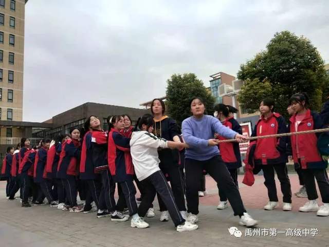 禹州一高高二拔河比赛 | “绳”采飞扬,聚力亮相! 禹州一高高二拔河比赛 | “绳”采飞扬,聚力亮相!