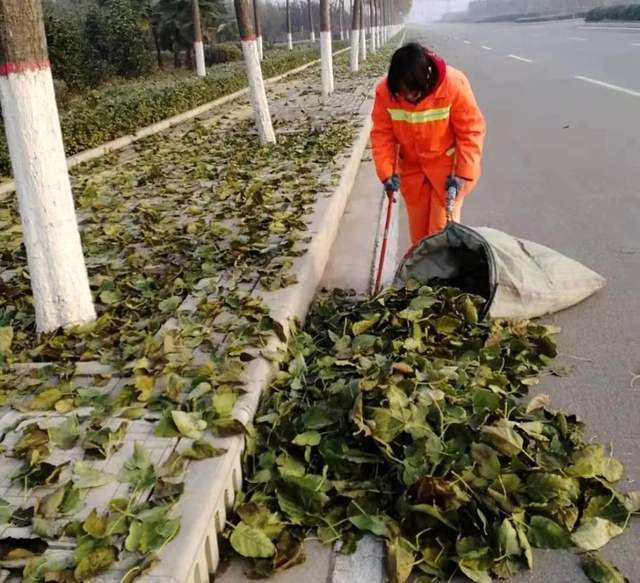 禹州环卫:寒风瑟瑟催人冷 城市清洁忙不停 禹州环卫:寒风瑟瑟催人冷 城市清洁忙不停