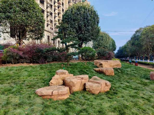 禹州新晋网红地实力出圈,你去打卡了吗? 禹州新晋网红地实力出圈,你去打卡了吗?