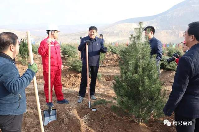 禹州市开展冬季全民义务植树活动 禹州市开展冬季全民义务植树活动