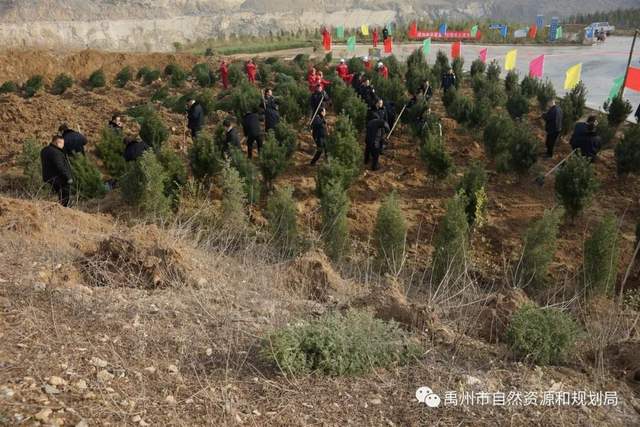 禹州市自然资源和规划局积极参加冬季义务植树活动 禹州市自然资源和规划局积极参加冬季义务植树活动