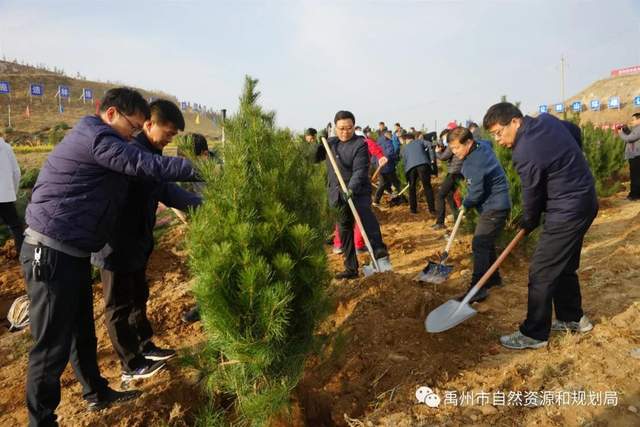 禹州市自然资源和规划局积极参加冬季义务植树活动 禹州市自然资源和规划局积极参加冬季义务植树活动