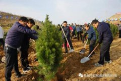 禹州市自然资源和规划局积极参加冬季义务植树活动