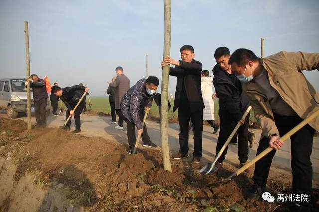 禹州市人民法院开展冬季义务植树活动 禹州市人民法院开展冬季义务植树活动