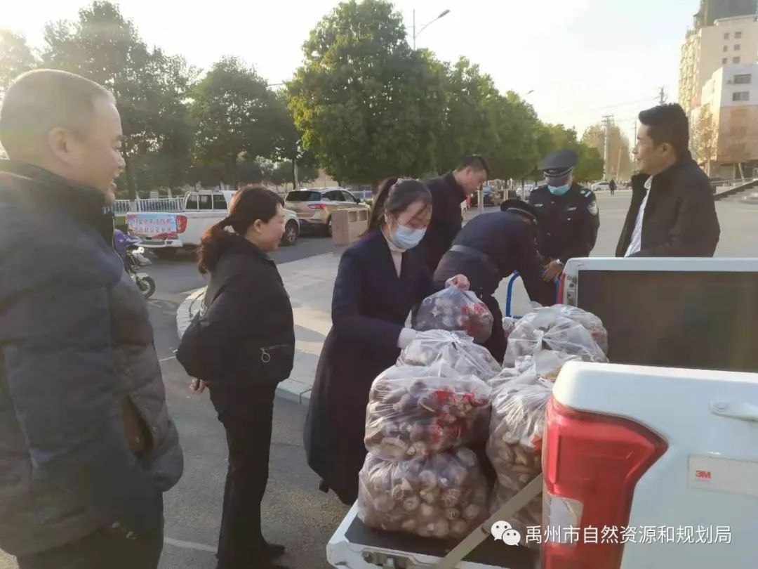 禹州市自然资源和规划局：干部职工“消费扶贫” 常门菇农喜乐开怀