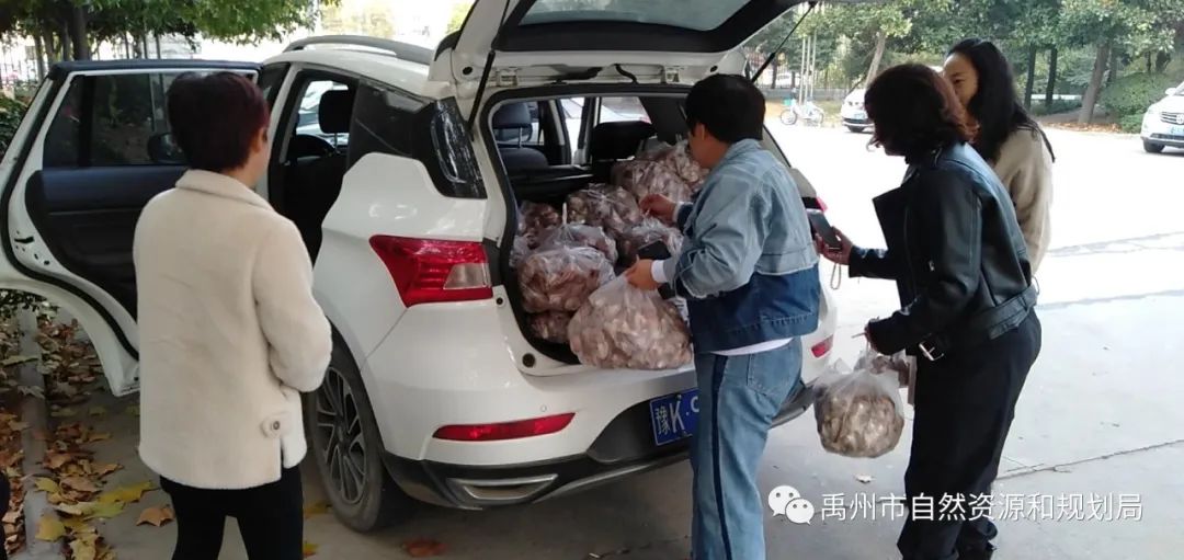 禹州市自然资源和规划局：干部职工“消费扶贫” 常门菇农喜乐开怀