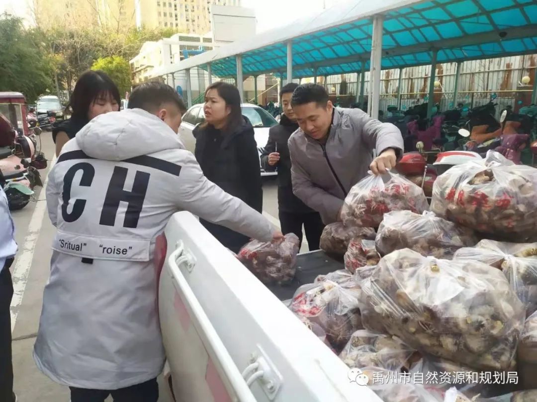 禹州市自然资源和规划局：干部职工“消费扶贫” 常门菇农喜乐开怀