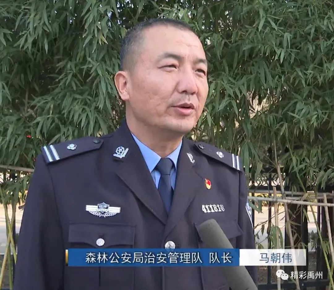 获青睐！禹州颍河上来了两位“优雅的客人”