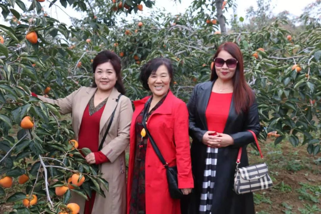 禹州刘门村第二届柿饼节纪事