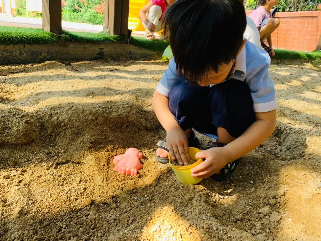 北大附校禹州幼儿园2021年春季