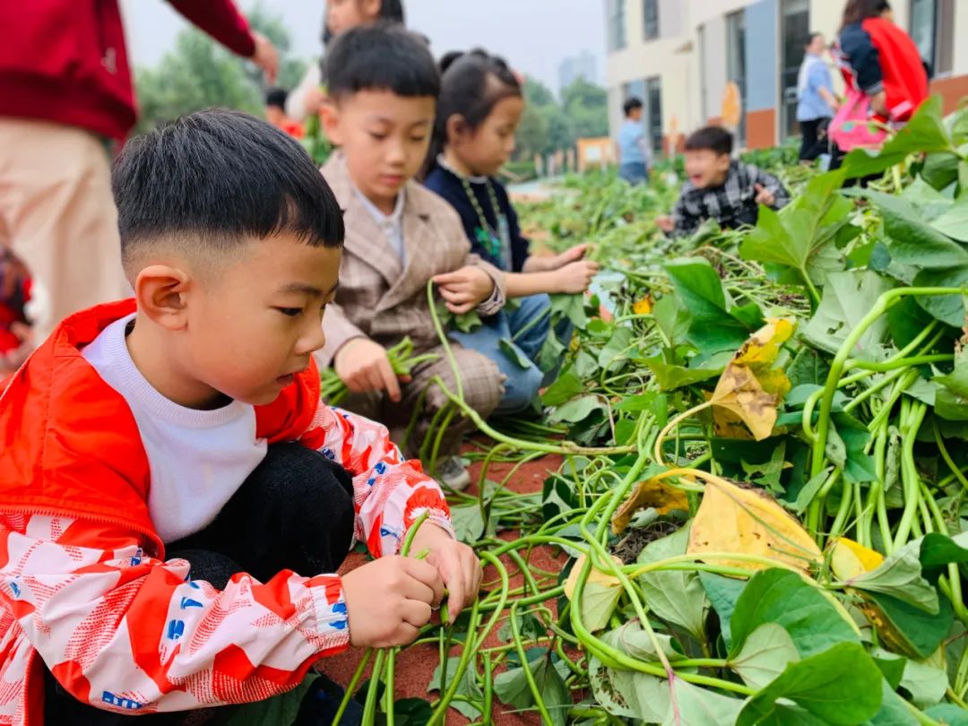 北大附校禹州幼儿园2021年春季