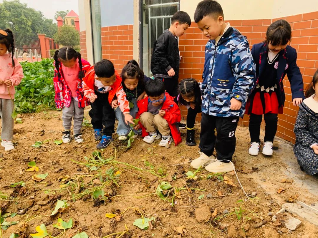北大附校禹州幼儿园2021年春季