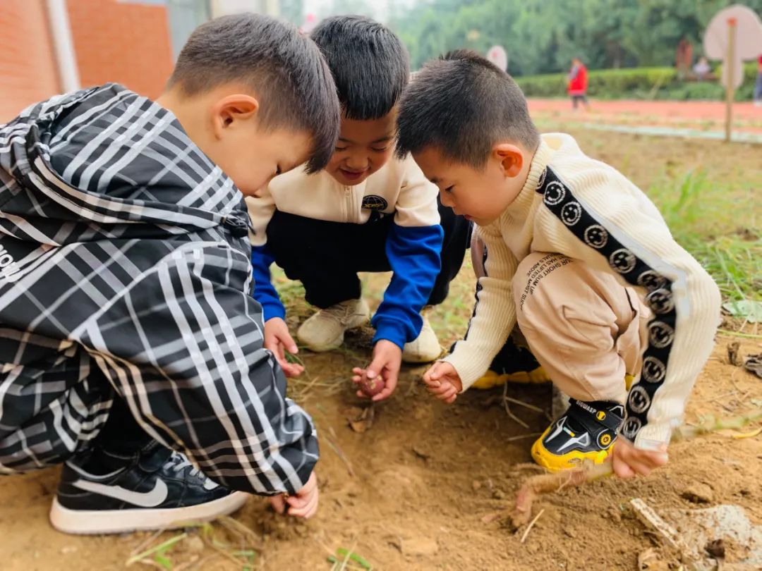 北大附校禹州幼儿园2021年春季
