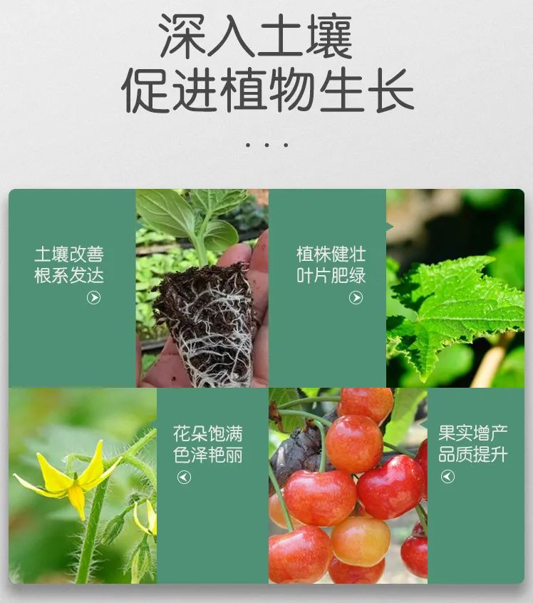 禹州养花人有福了！这家花卉店超值养花套餐限量抢！