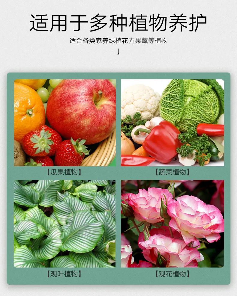 禹州养花人有福了！这家花卉店超值养花套餐限量抢！