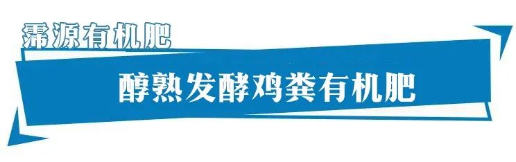 禹州养花人有福了！这家花卉店超值养花套餐限量抢！