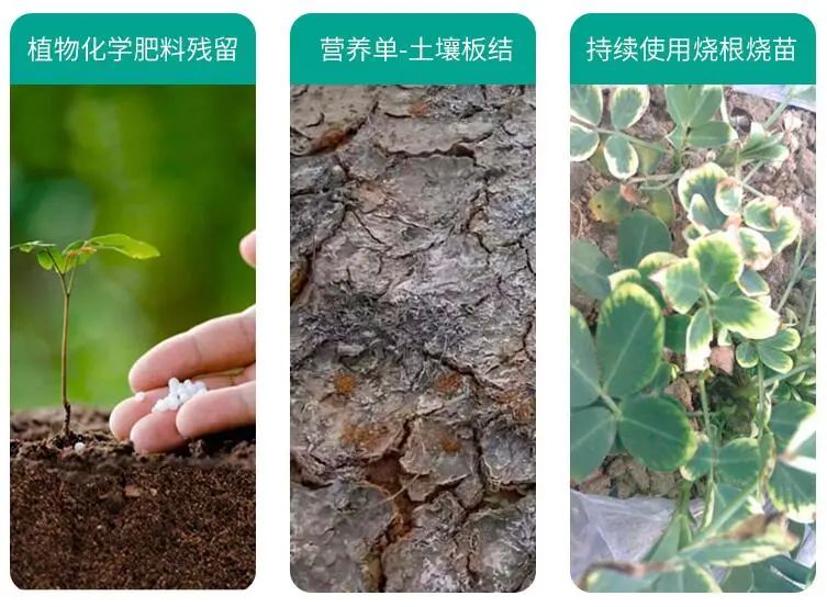 禹州养花人有福了！这家花卉店超值养花套餐限量抢！