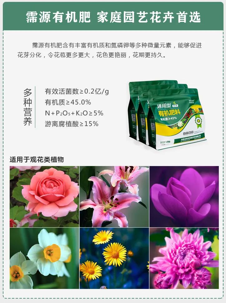 禹州养花人有福了！这家花卉店超值养花套餐限量抢！